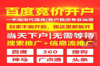 行业领先企业的SEM竞价代运营成功案例揭秘
